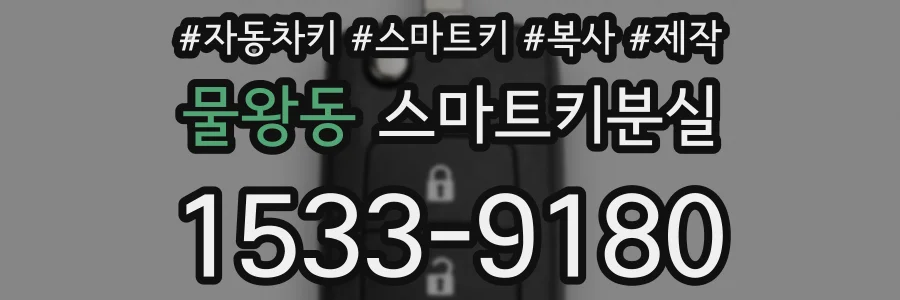 물왕동 스마트키분실