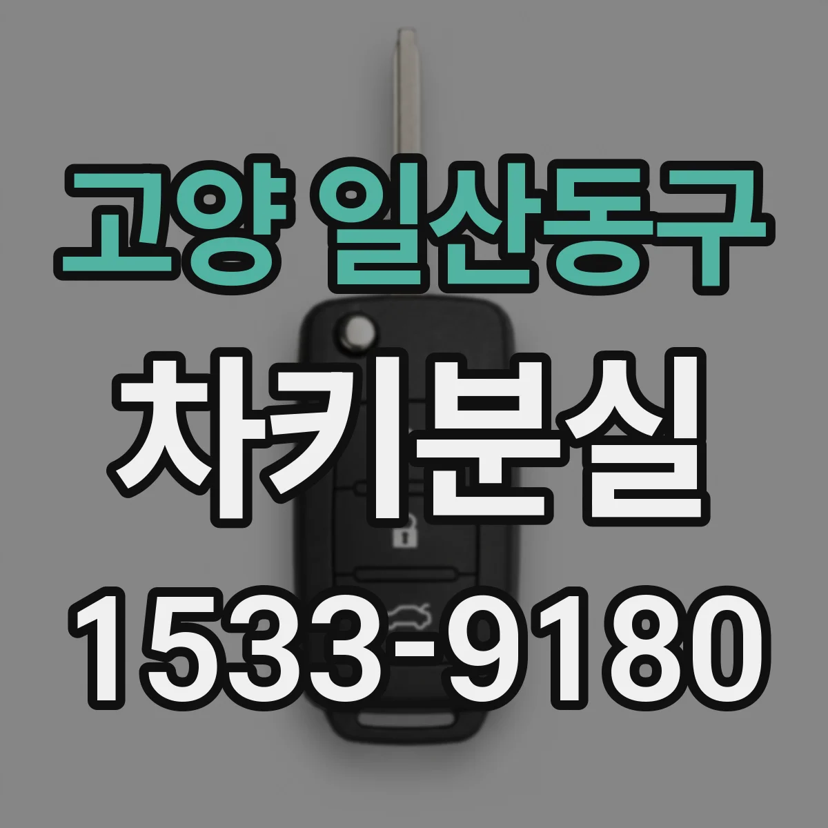 고양 일산동구 차키분실