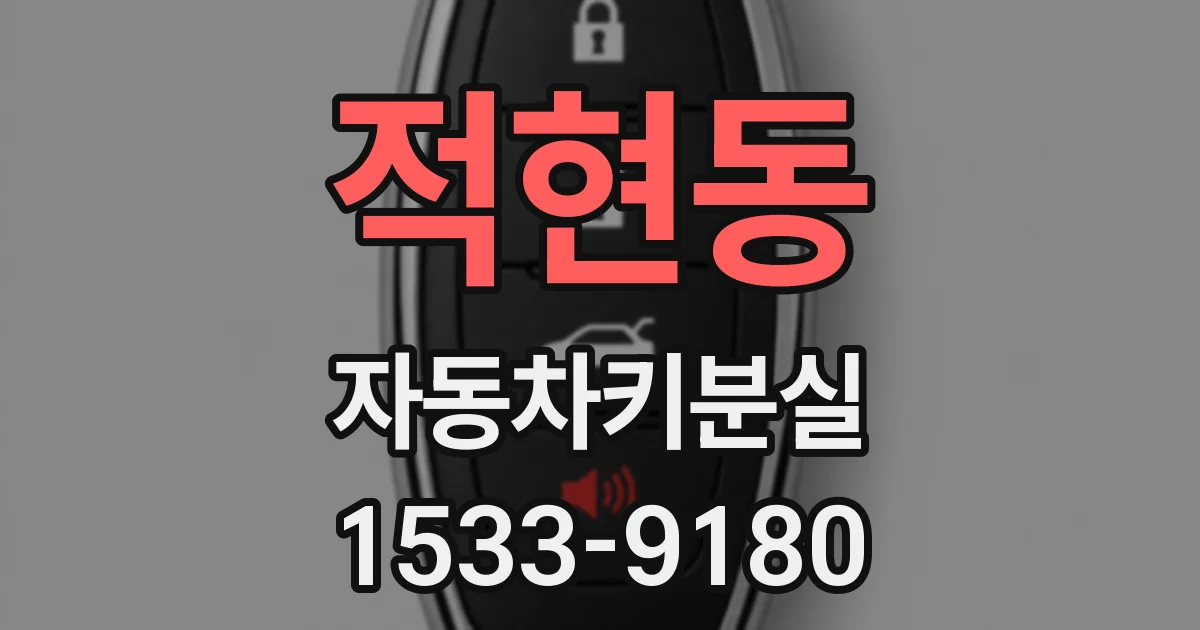 적현동 자동차키분실