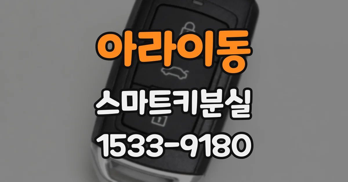 아라이동 스마트키분실