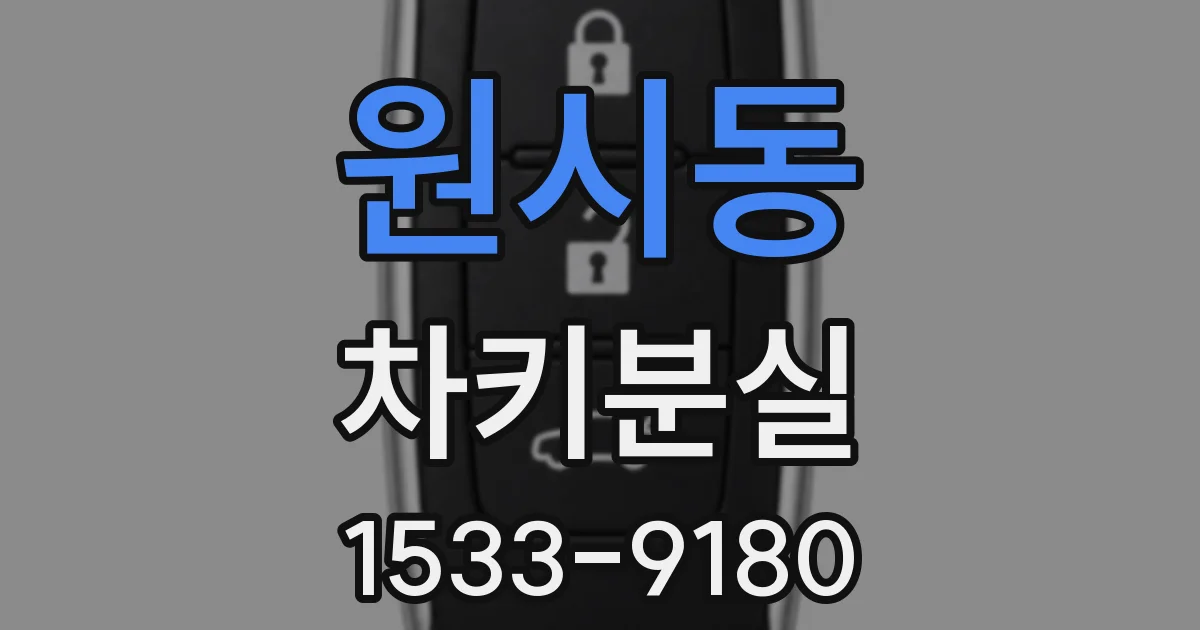 원시동 차키분실