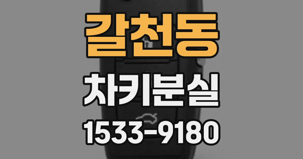 갈천동 차키분실