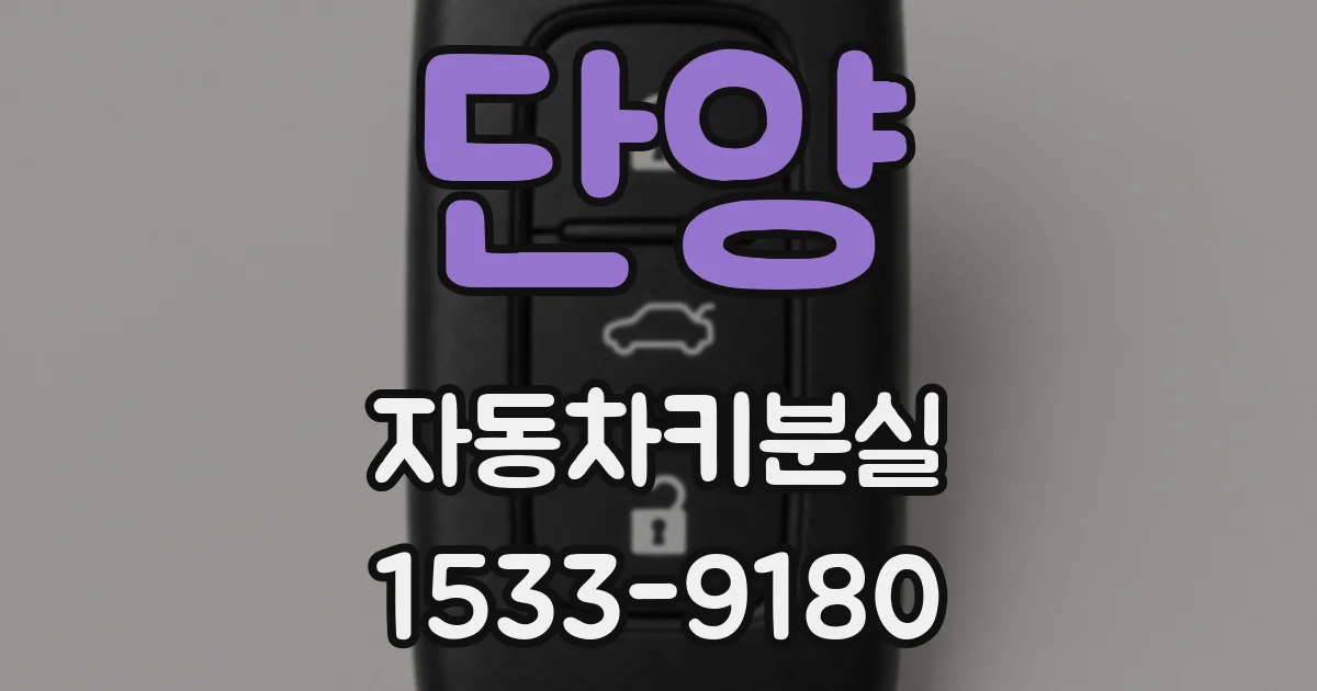 단양 자동차키분실