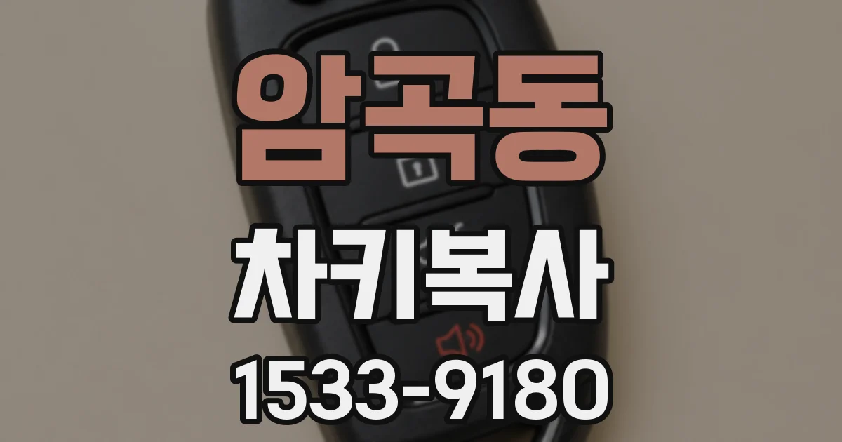 암곡동 차키복사