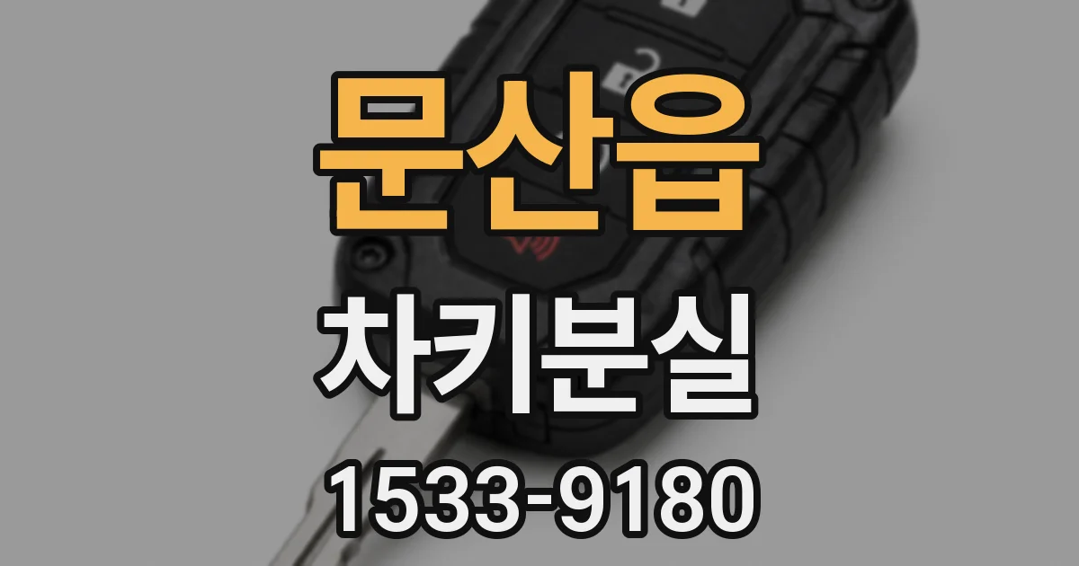 문산읍 차키분실