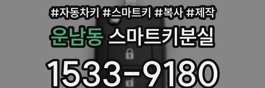 운남동 스마트키분실