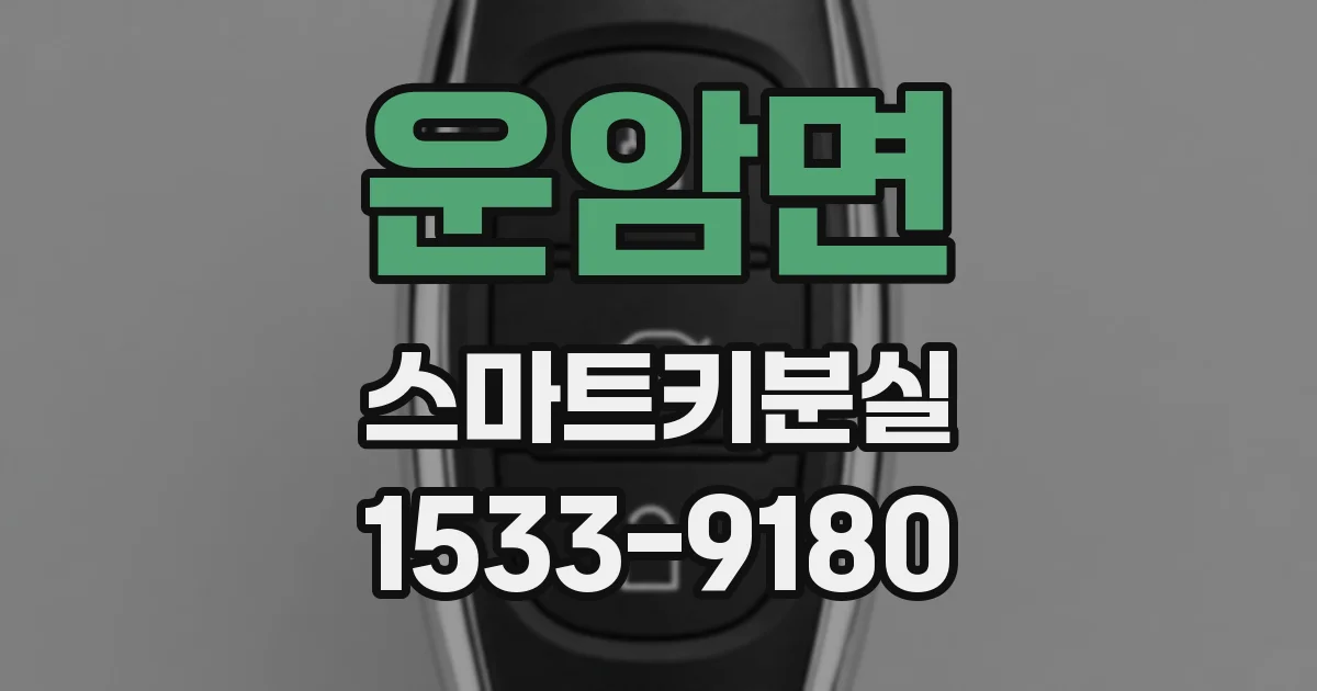 운암면 스마트키분실