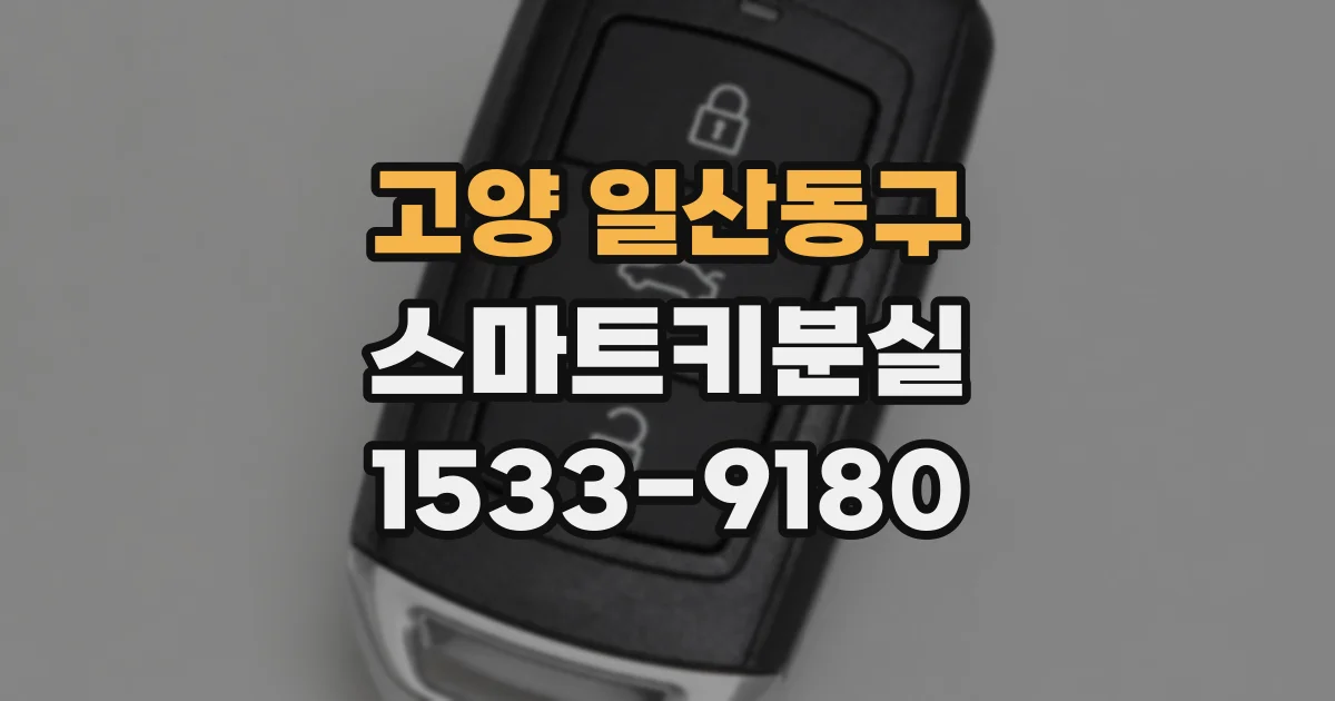 고양 일산동구 스마트키분실