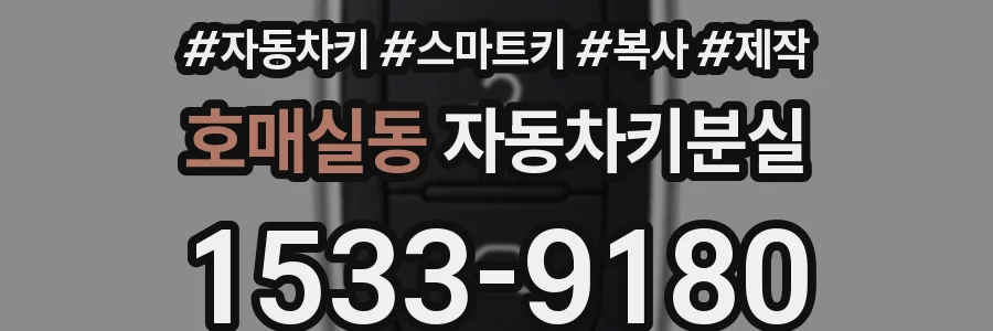 호매실동 자동차키분실