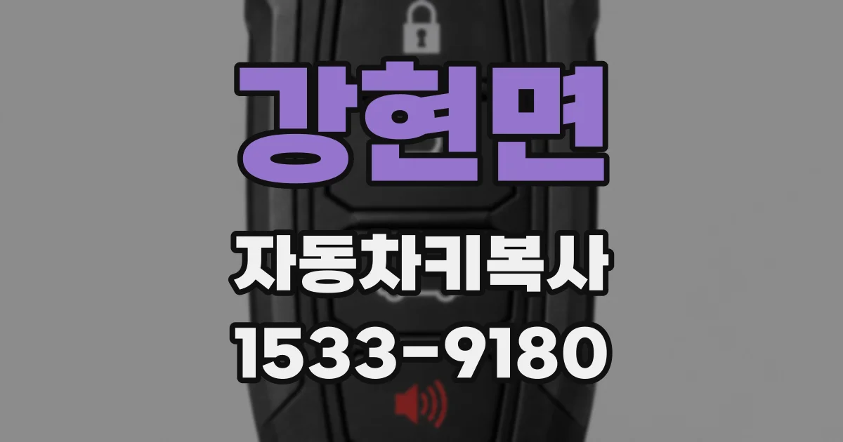 강현면 자동차키복사