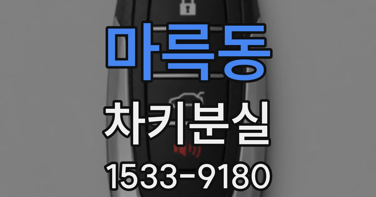 마륵동 차키분실