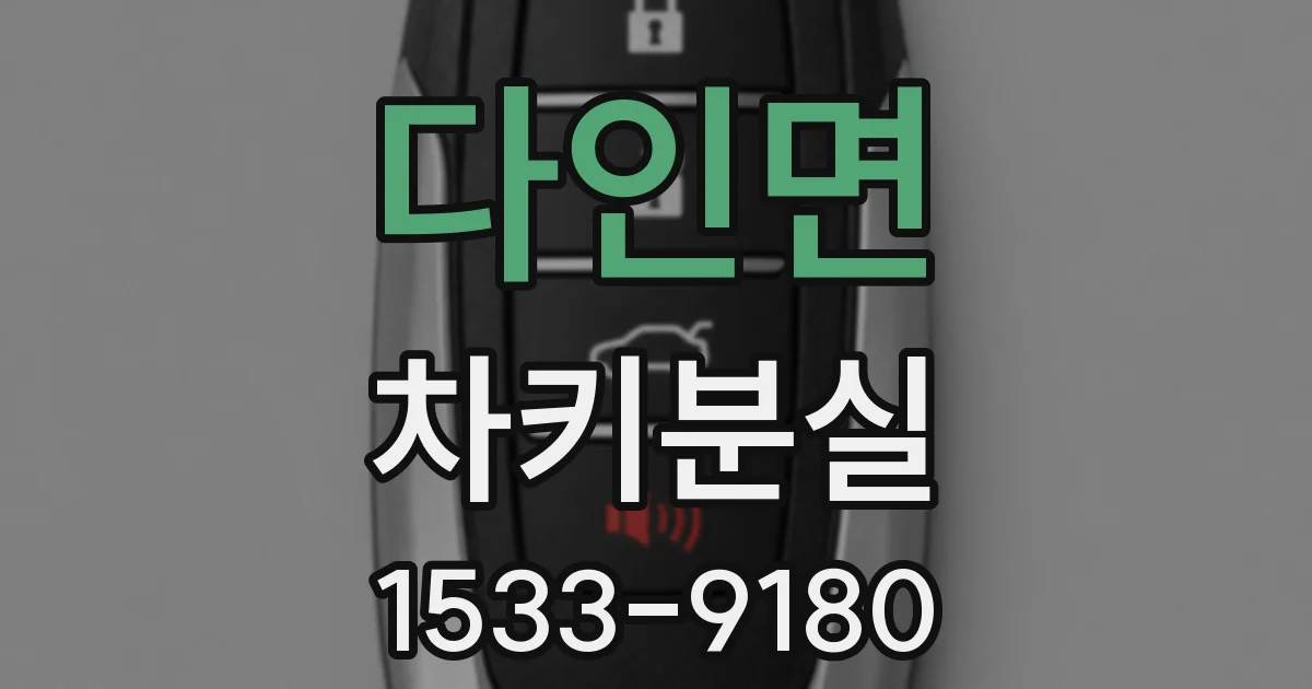 다인면 차키분실