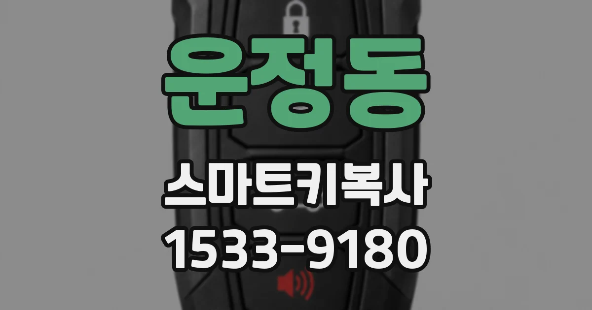 운정동 스마트키복사