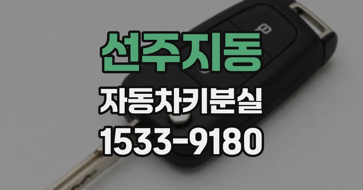 선주지동 자동차키분실