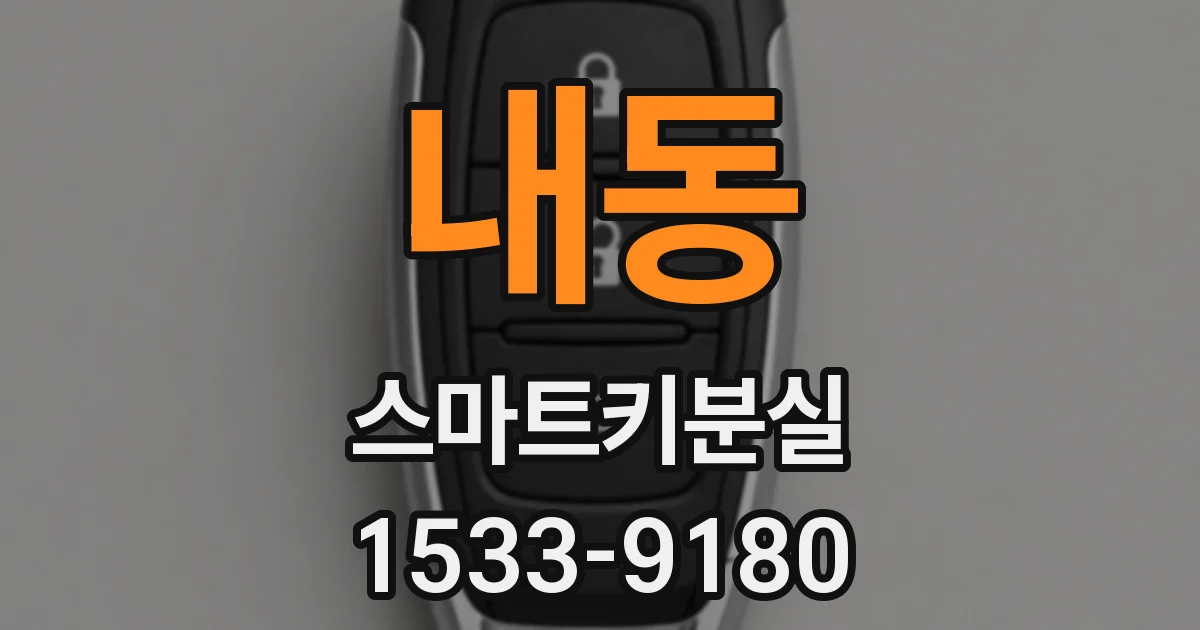 내동 스마트키분실
