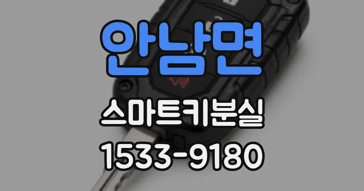 안남면 스마트키분실