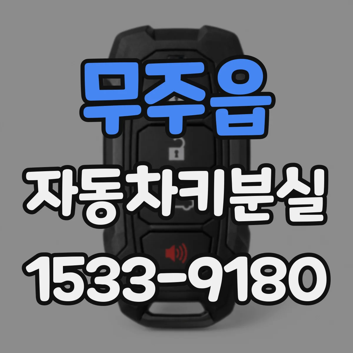 무주읍 자동차키분실