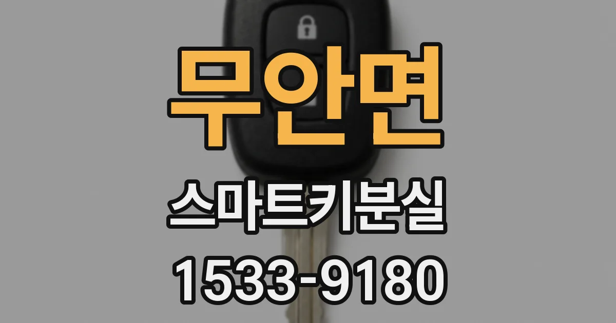 무안면 스마트키분실