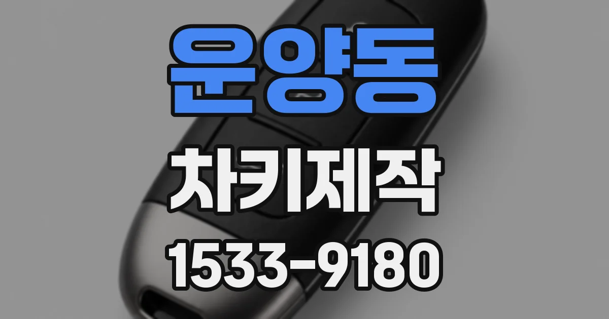 운양동 차키제작