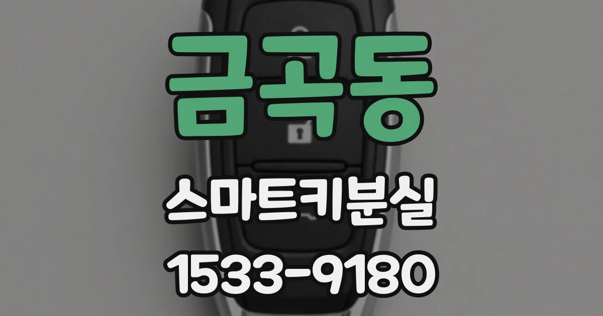 금곡동 스마트키분실
