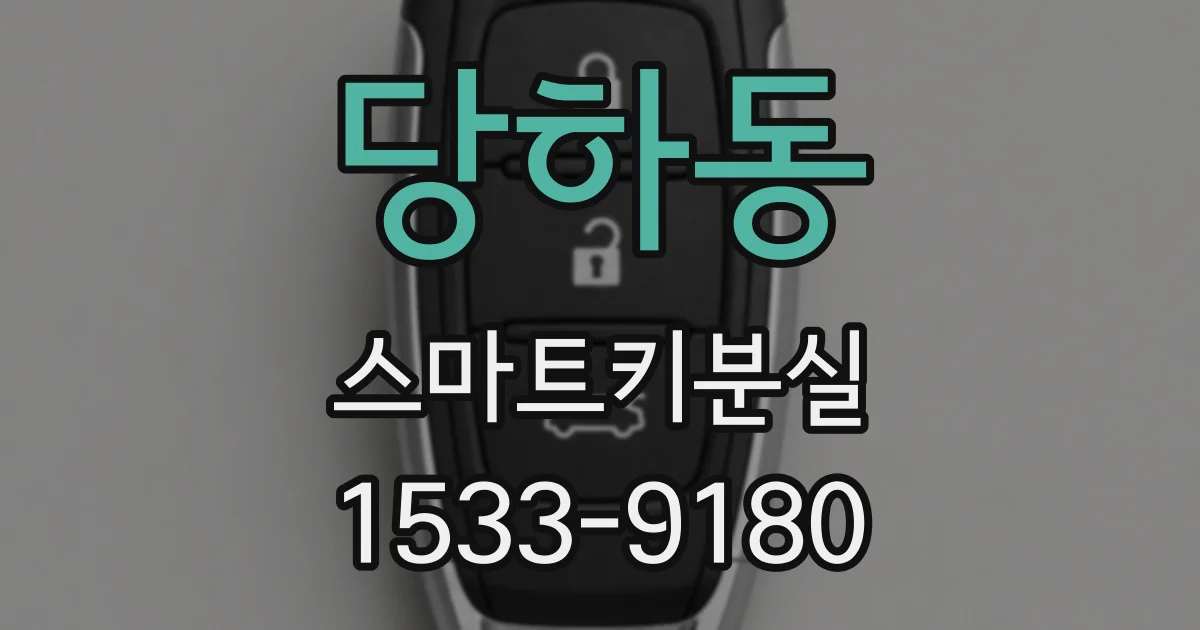 당하동 스마트키분실
