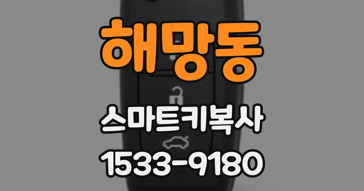 해망동 스마트키복사