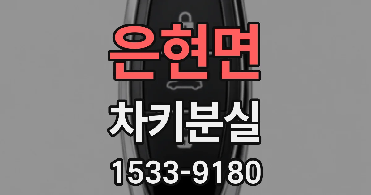 은현면 차키분실