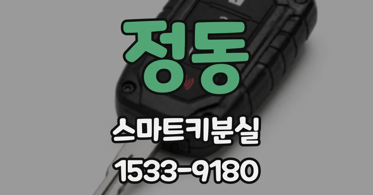 정동 스마트키분실