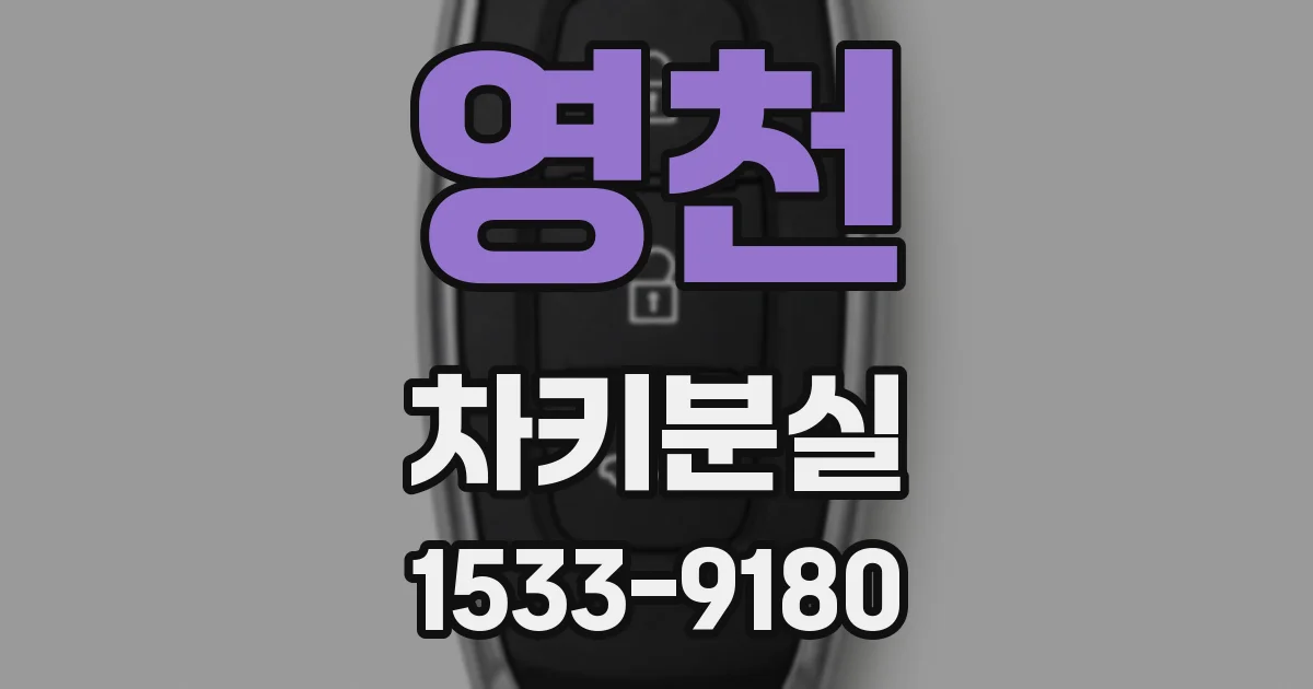 영천 차키분실