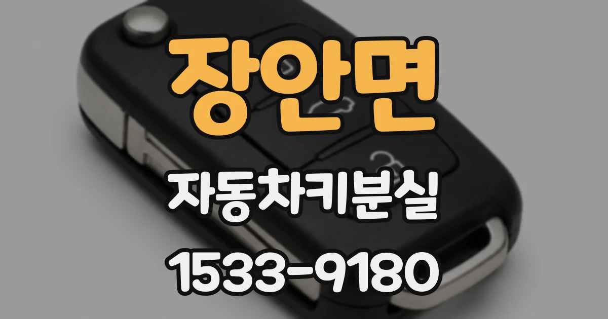 장안면 자동차키분실
