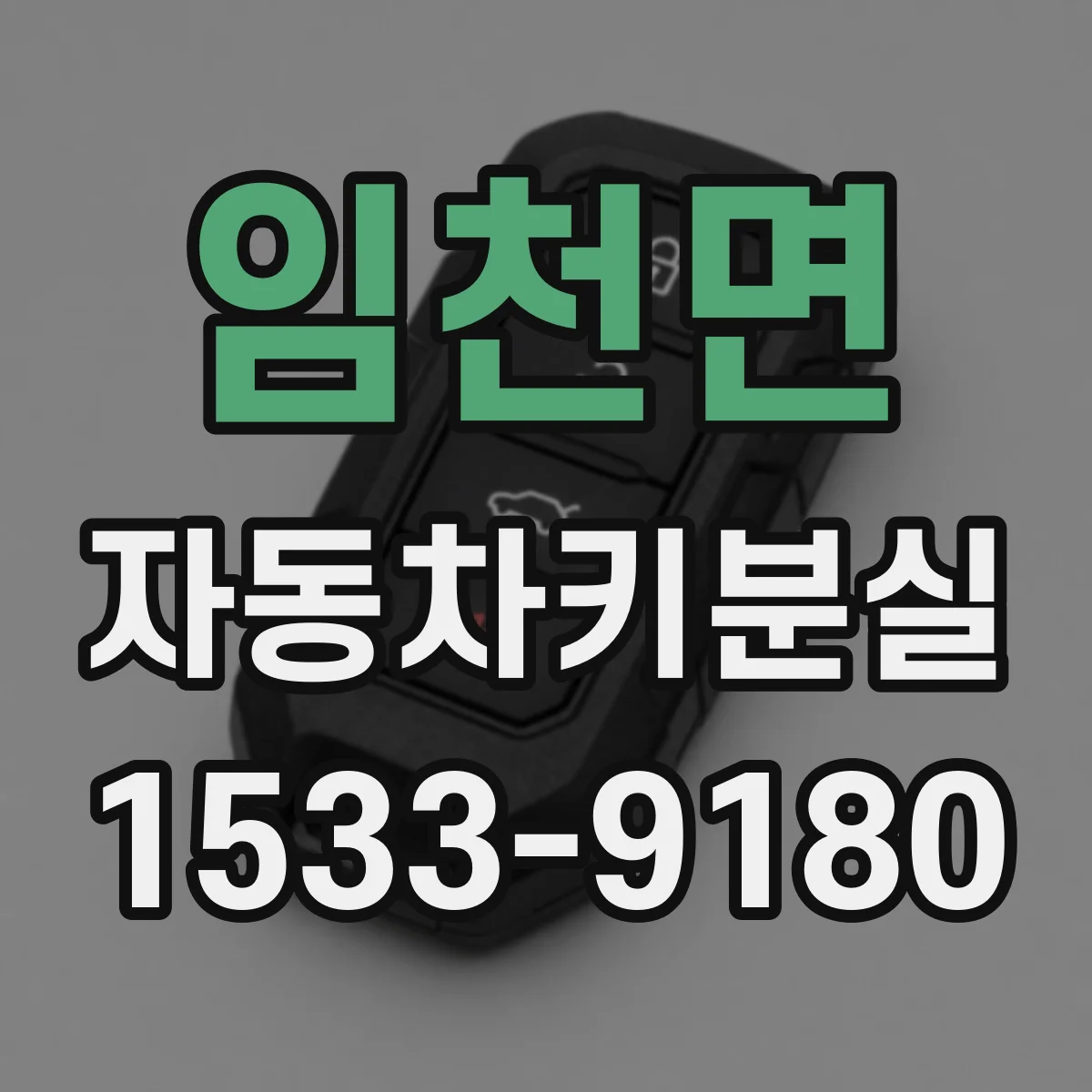 임천면 자동차키분실