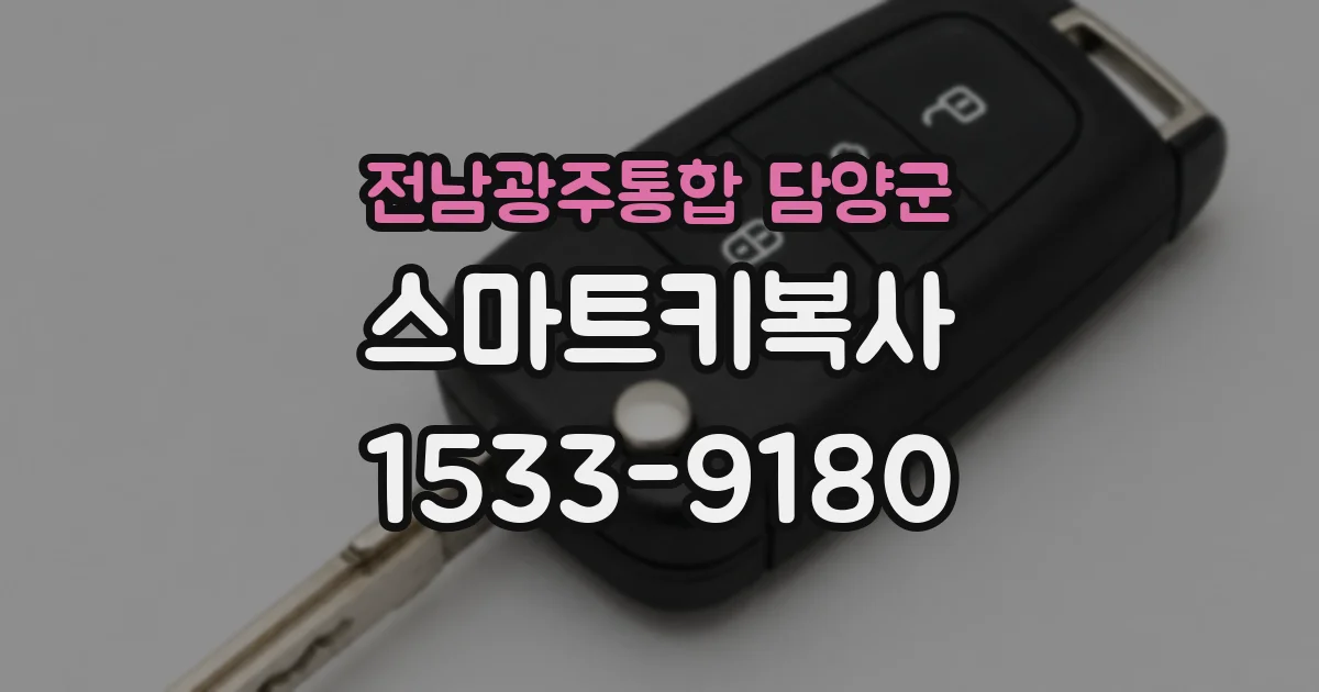 전남광주통합 담양군 스마트키복사