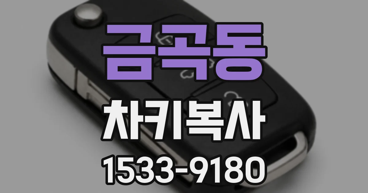 금곡동 차키복사