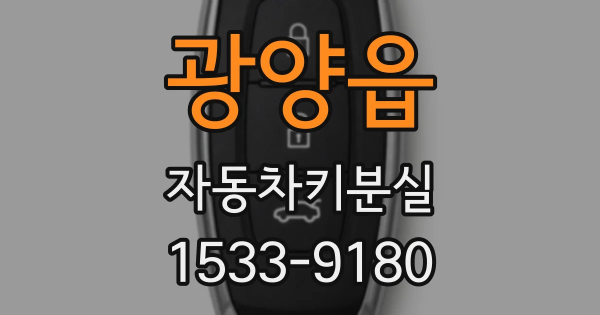 광양읍 자동차키분실
