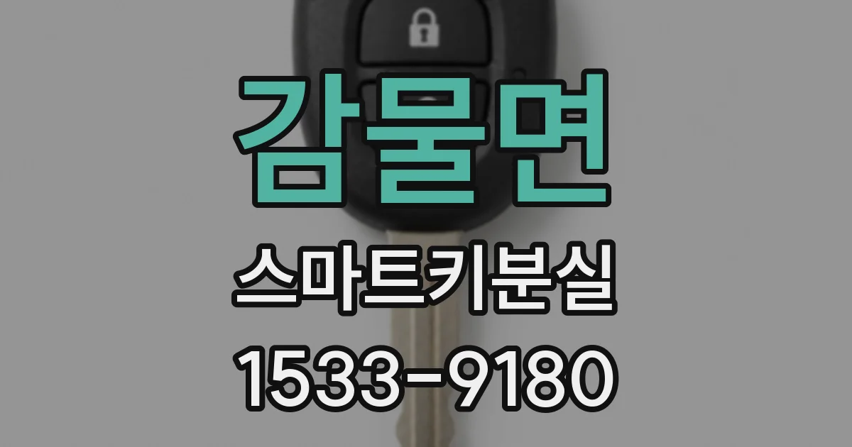 감물면 스마트키분실