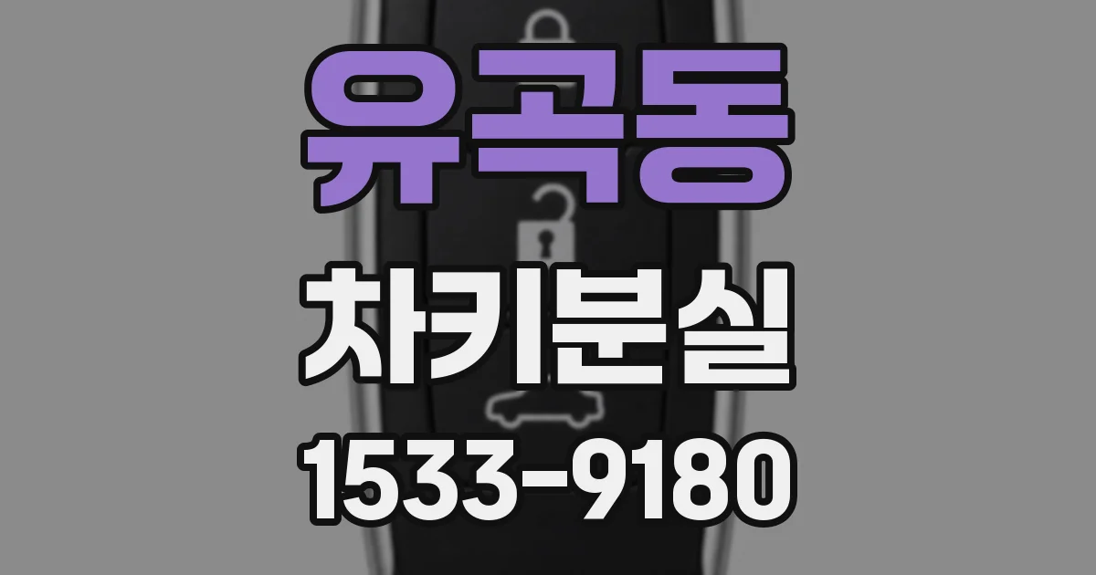 유곡동 차키분실