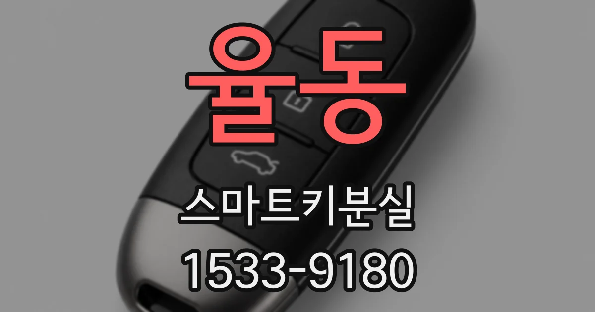 율동 스마트키분실