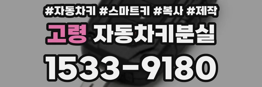 고령 자동차키분실