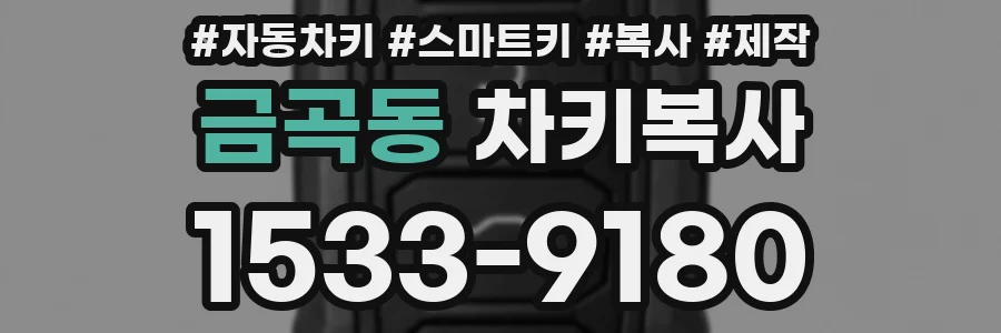 금곡동 차키복사