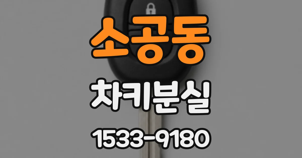 소공동 차키분실