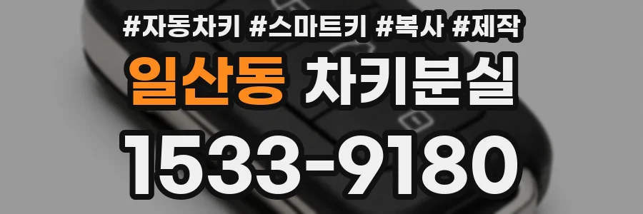 일산동 차키분실
