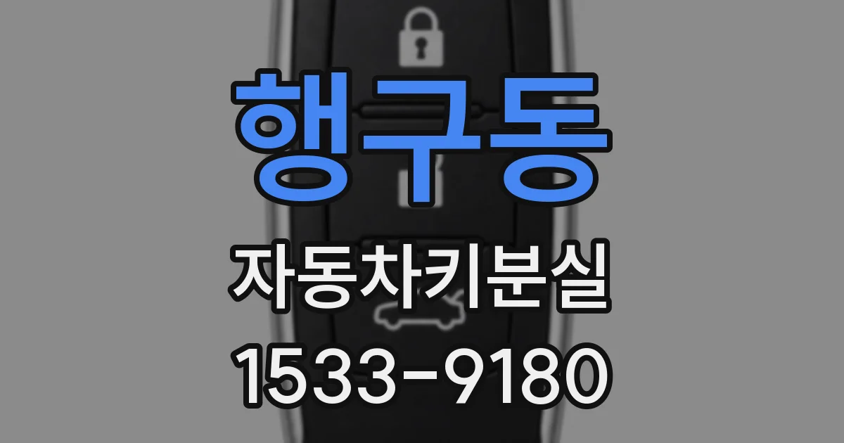 행구동 자동차키분실
