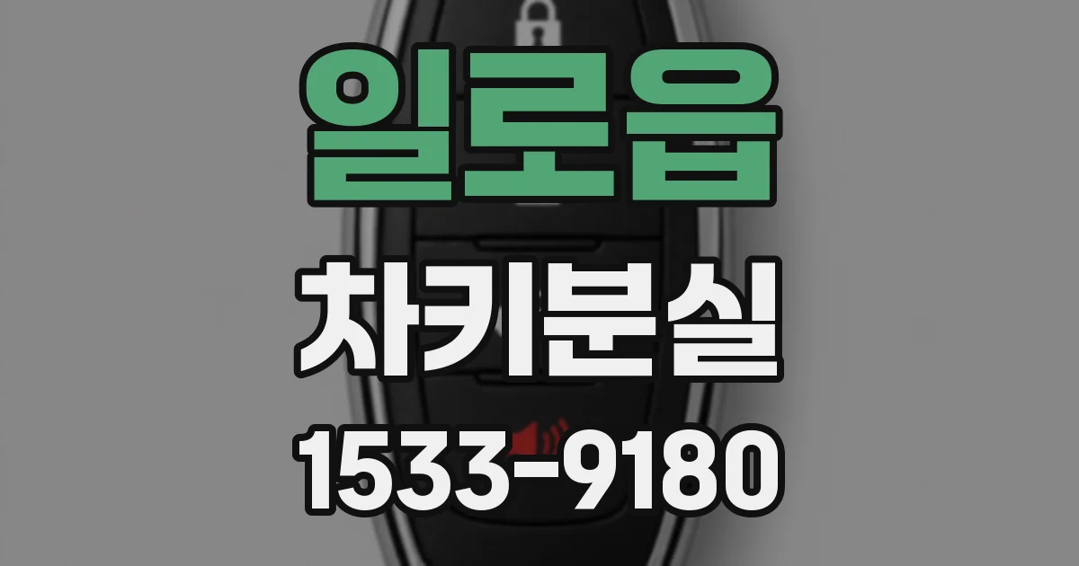 일로읍 차키분실