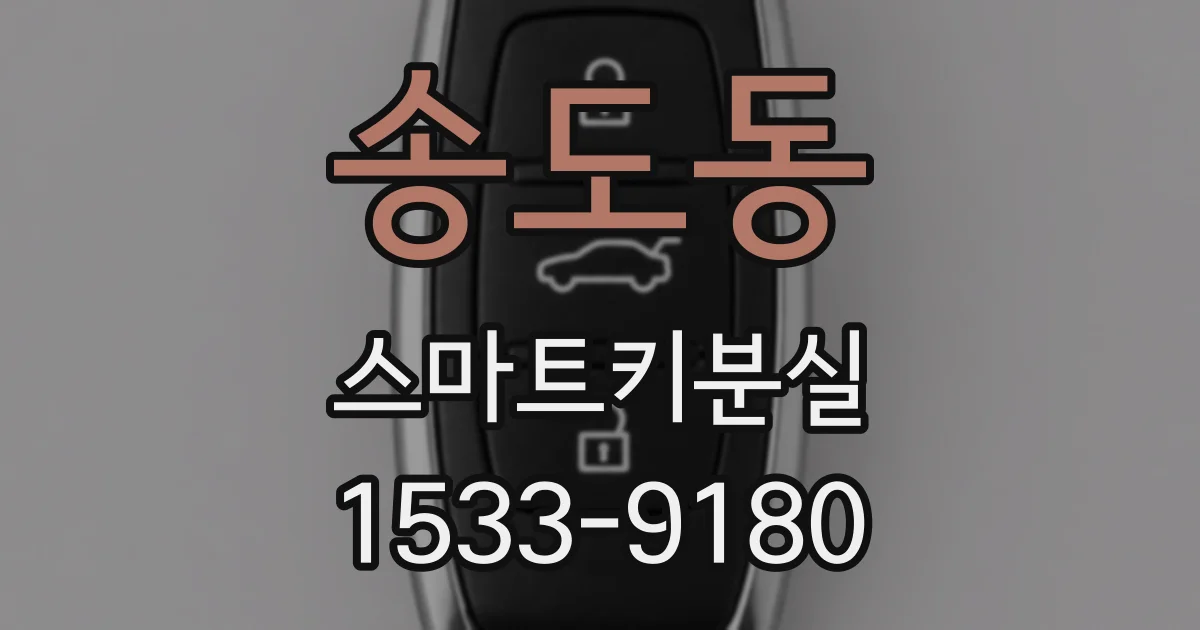 송도동 스마트키분실