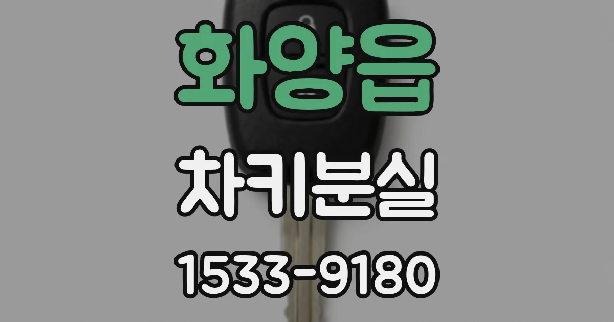 화양읍 차키분실
