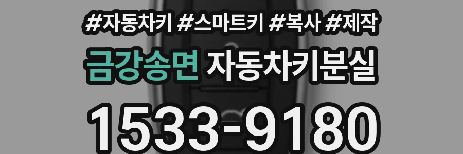금강송면 자동차키분실