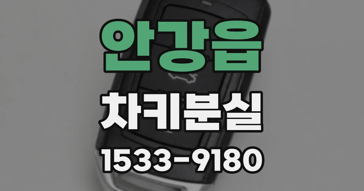 안강읍 차키분실