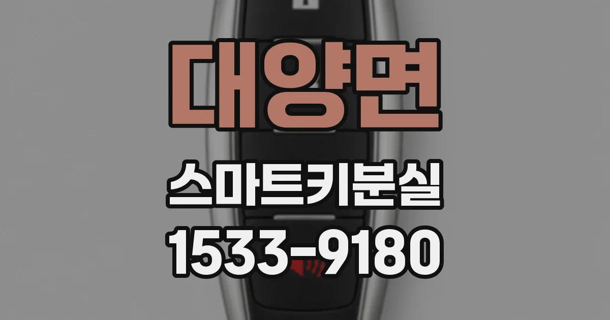 대양면 스마트키분실