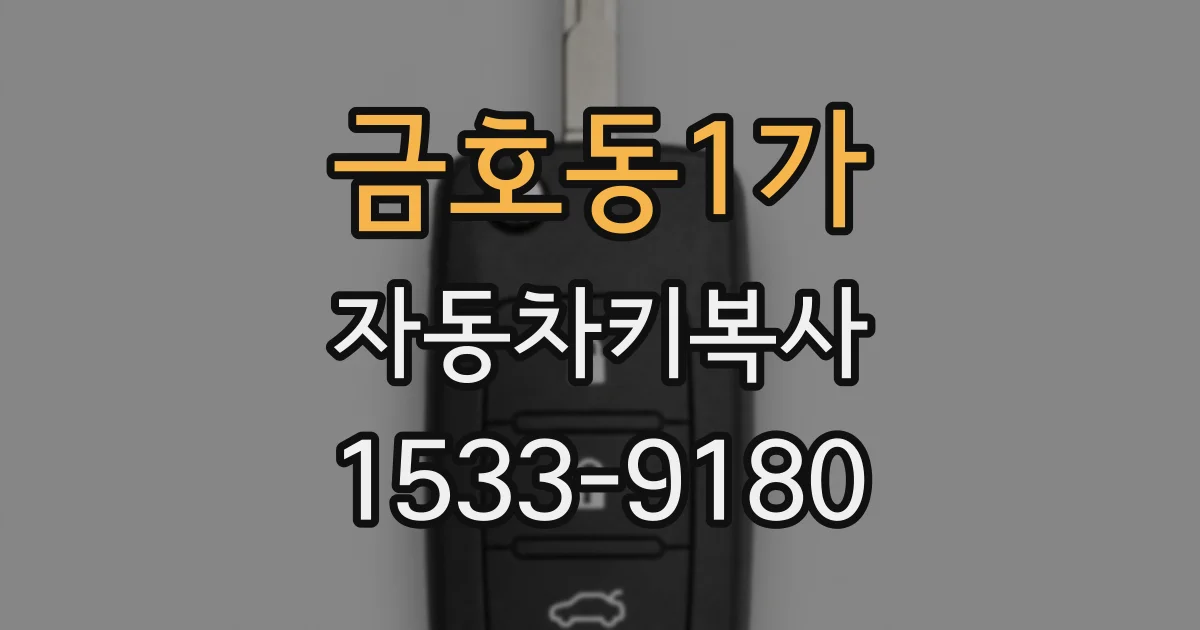 금호동1가 자동차키복사