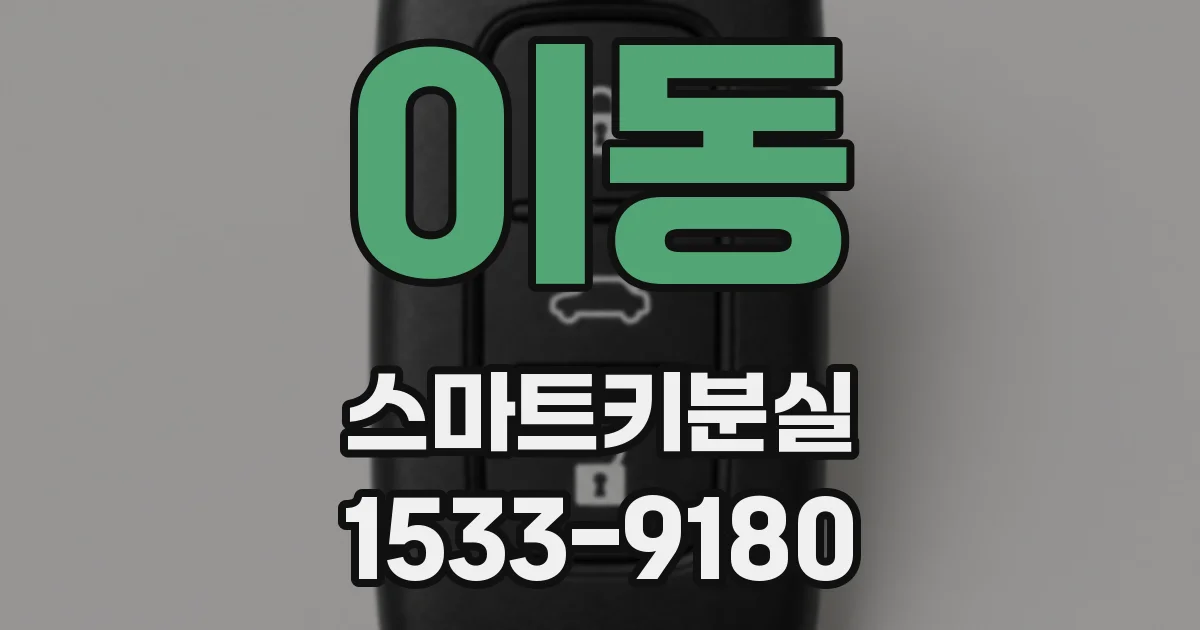 이동 스마트키분실
